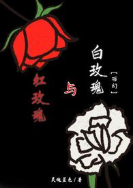 红玫瑰与白玫瑰讲的什么故事