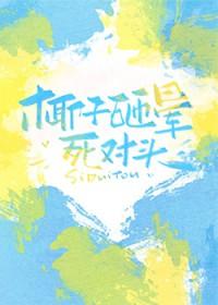 椰子树砸晕