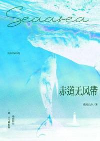 赤道无风带TXT百度资源