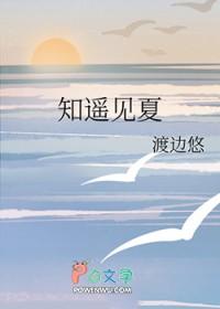 知夏遇你在线免费阅读