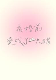 离婚后我变成了猫