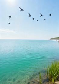 归去来兮是谁的作品