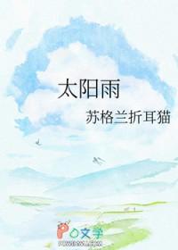 太阳雨集团有限公司