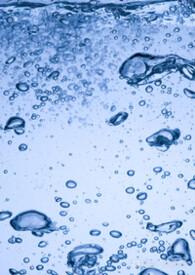 向生向死而生