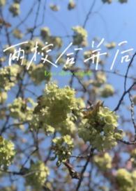 两所学校合并