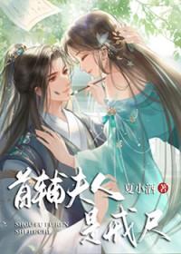 首辅夫人txt