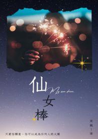 仙女棒烟花一盒多少钱