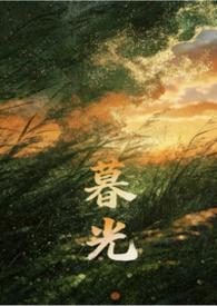 暮光 hp