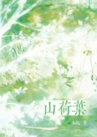 山荷叶花为什么会变透明