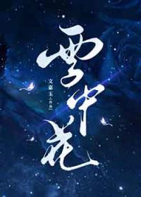 雪中花歌曲歌词