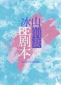 冰山老婆请自重百舸争流