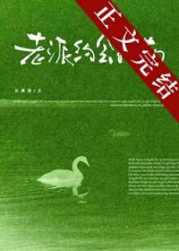 老派恋情