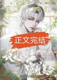 和联邦议长结婚后 作者长亭落雪