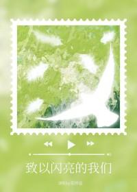 致以闪亮的我们晋江