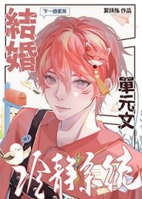 结婚冷静系统番外