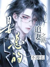 晏总追妻娶一赠二完结版
