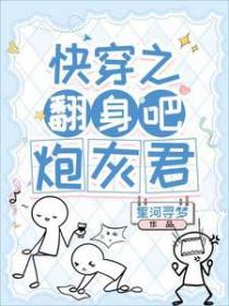 炮灰君完本