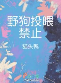 怎么喂野狗