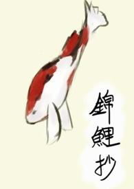 锦鲤抄无损版