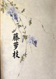 藤萝为枝全部作品