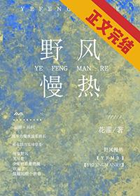 野风慢热讲的什么