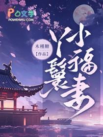 丫鬟夫人