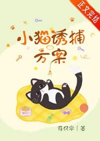 用什么诱捕猫