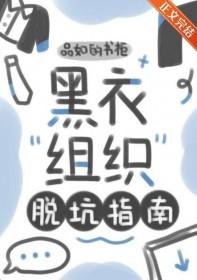 黑衣组织拯救世界 综