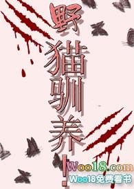 野猫驯养内容