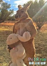 类似围床夜话的