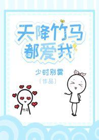 天降竹马实体书