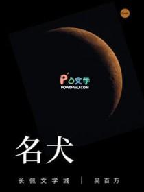 拉布拉多犬图片大全